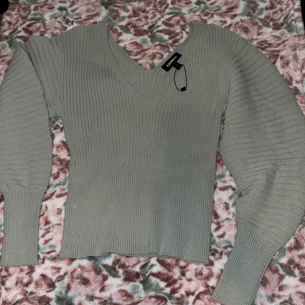 EXPRESS knit sweater